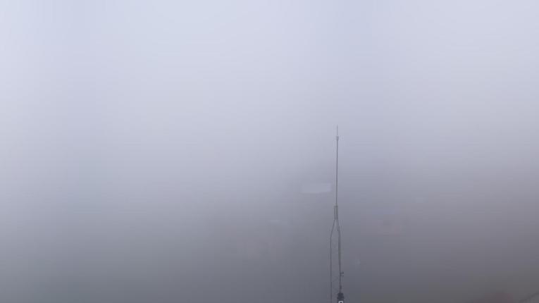 Webcam Baqueira Beret: Bosque