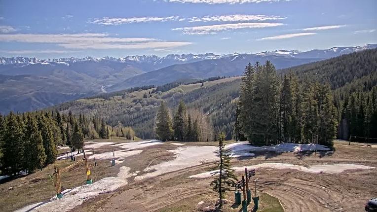 Webcam Beaver Creek: Spruce