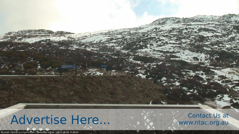 Webcam Ben Lomond: Top Slopes