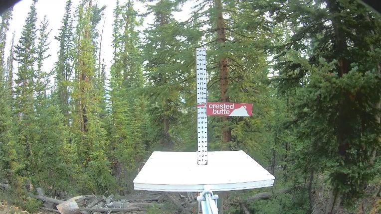 Webcam Crested Butte: Snow stake