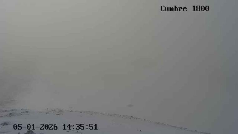 Webcam Loveland: Ptarmigan roost