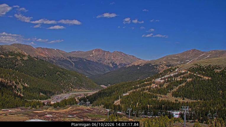 Webcam Loveland: Ptarmigan roost