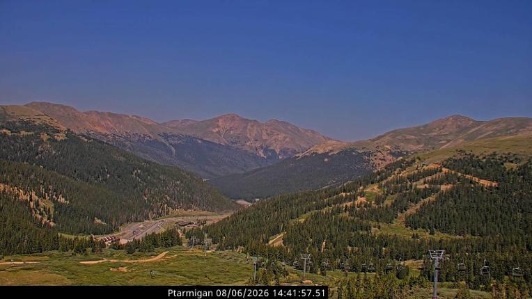 Webcam Loveland: Ptarmigan roost