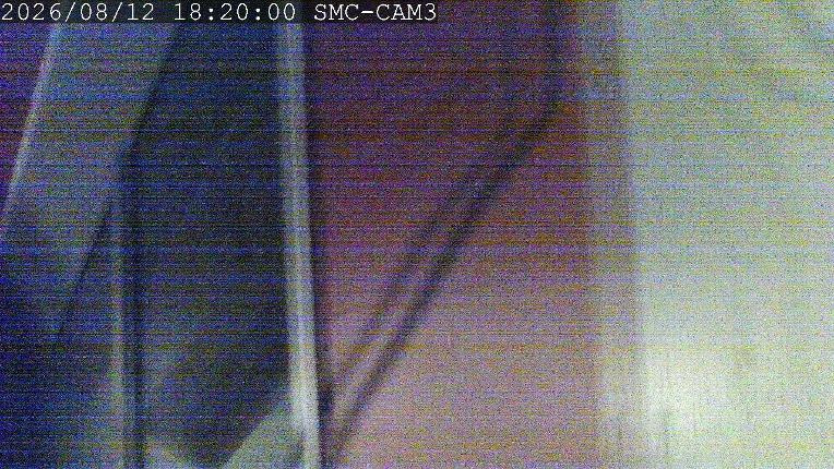 Webcam Manganui: T-Bar