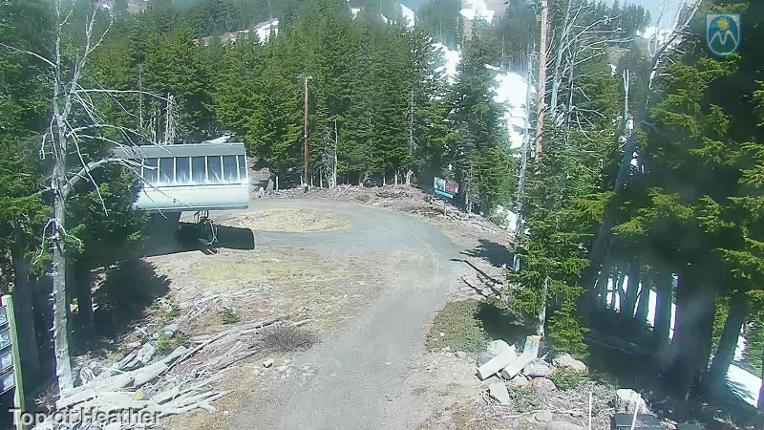 Webcam Mount Hood Meadows: Top of Heather