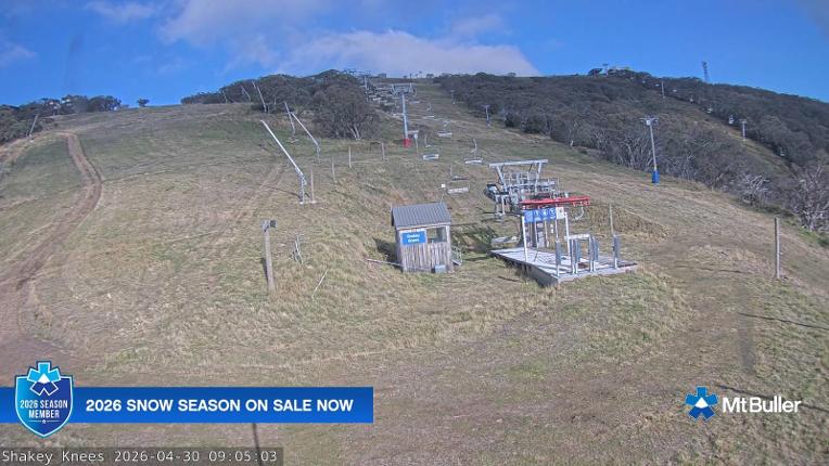 Webcam Mt. Buller: The fox