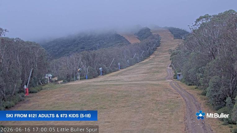 Webcam Mt. Buller: Little Buller