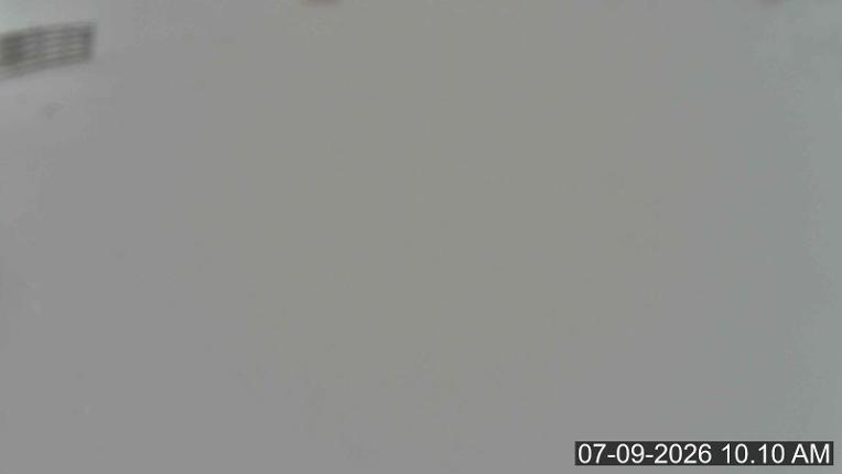 Webcam Porters: Platter
