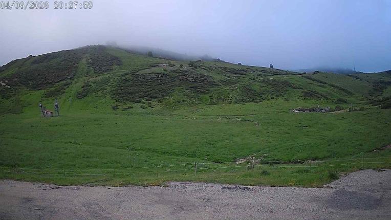 Webcam San Isidro: Salencias