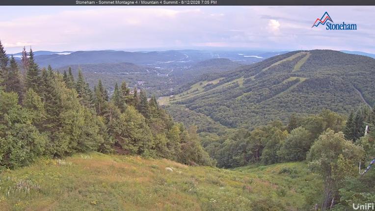 Webcam Stoneham: Sommet des 40