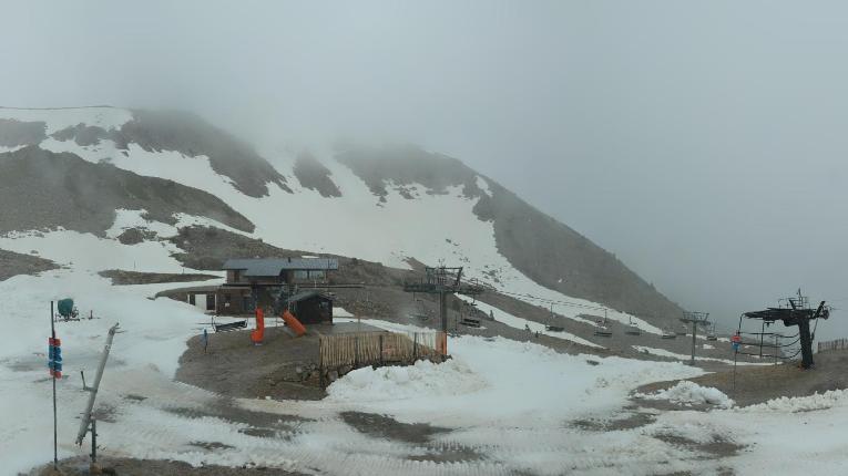 Webcam Vallter 2000: Marmotes