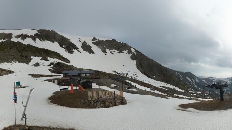 Webcam Vallter 2000: Marmotes