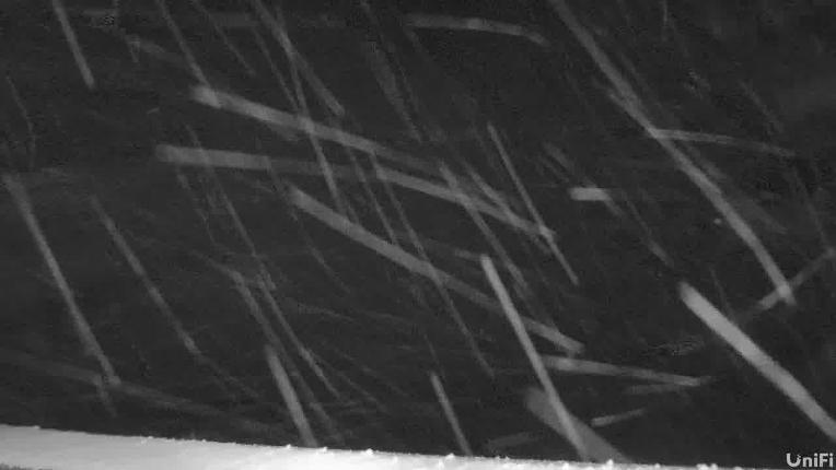 Webcam Wolf Creek: Summit