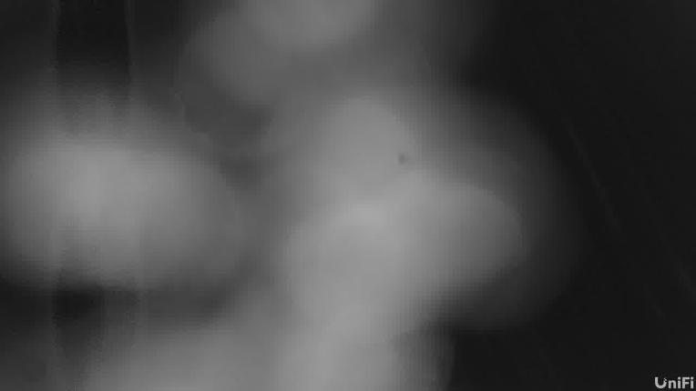 Webcam Wolf Creek: Treasure lift