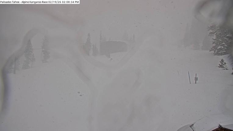 Webcam Alpine Meadows: Alpine Race Cam