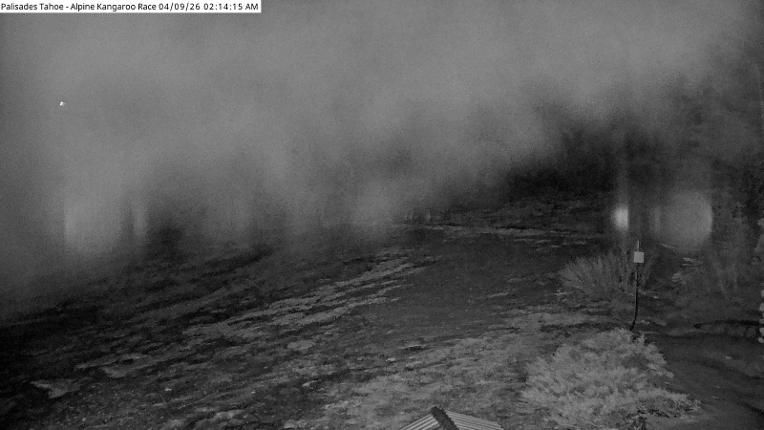 Webcam Alpine Meadows: Alpine Race Cam