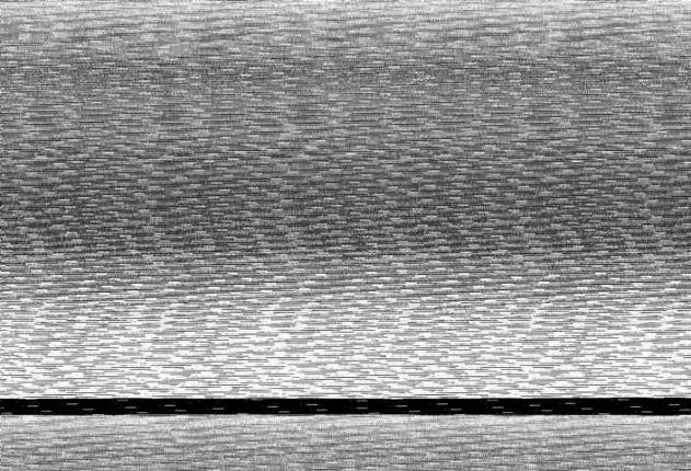 Webcam Antillanca: Vista Flecha