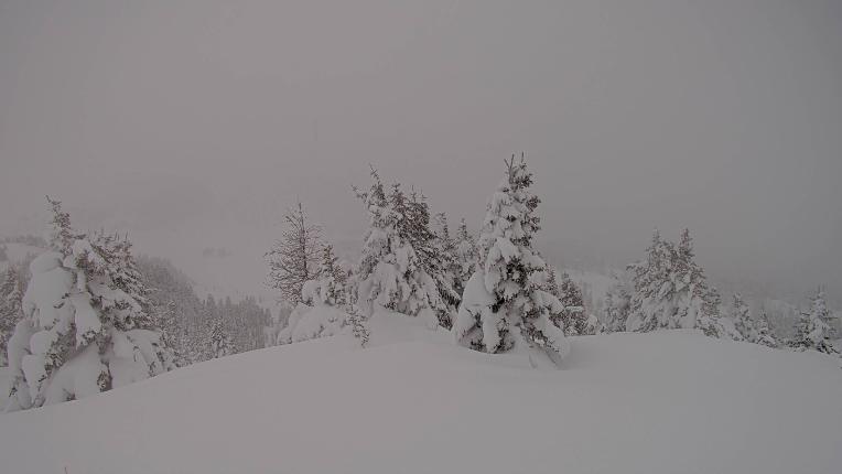 Webcam Banff Sunshine Village: Standish Viewing Deck