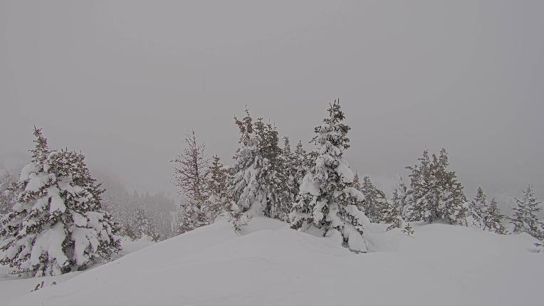 Webcam Banff Sunshine Village: Standish Viewing Deck