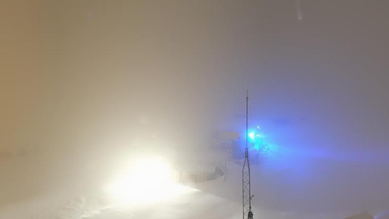 Webcam Baqueira Beret: Bosque