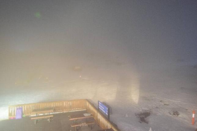 Webcam Ben Lomond: SnowSports