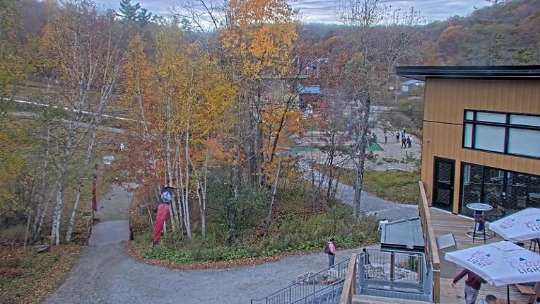 Webcam Camp Fortune: Valley