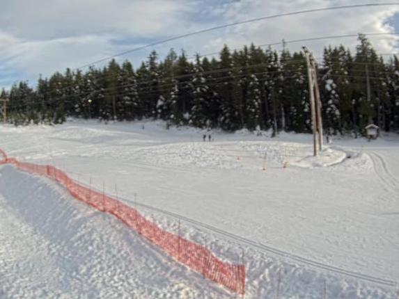 Webcam Cypress Mountain: Cypress Hollyburn