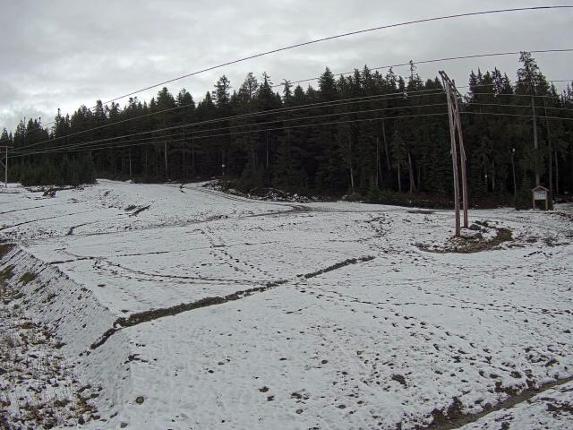 Webcam Cypress Mountain: Cypress Hollyburn