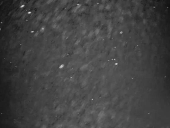 Webcam Cypress Mountain: Cypress Hollyburn