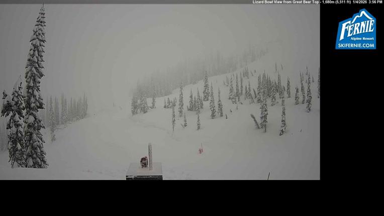 Webcam Fernie: Lizard Bowl