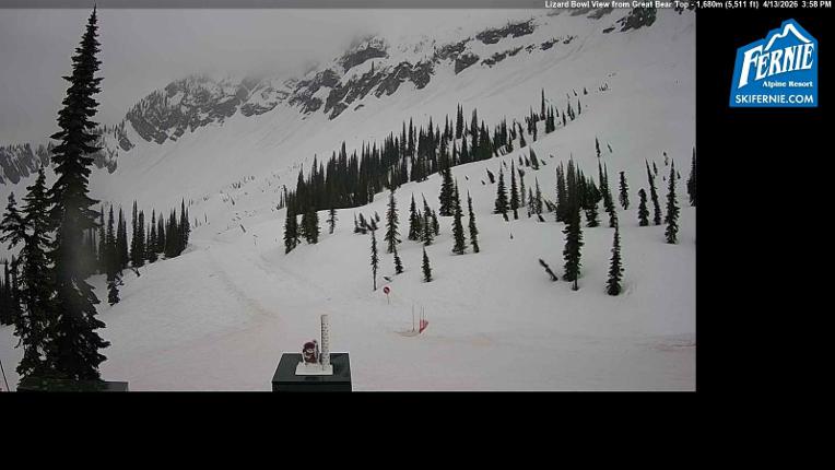 Webcam Fernie: Lizard Bowl