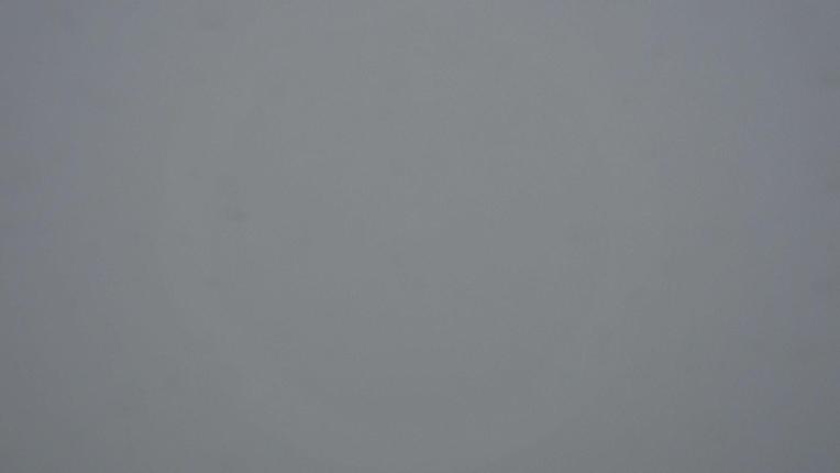 Webcam Flumserberg: Seebenalp 1622m