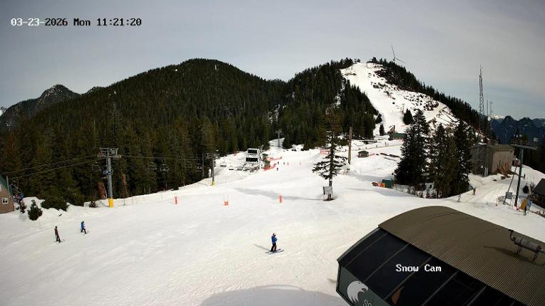 Webcam Grouse Mountain: Snow Cam