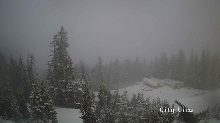 Webcam Grouse Mountain: City View Cam
