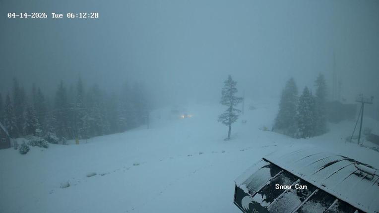 Webcam Grouse Mountain: Snow Cam
