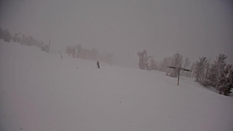 Webcam Heavenly: Top of dipper