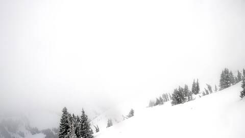 Webcam Jackson Hole: Cody bowl