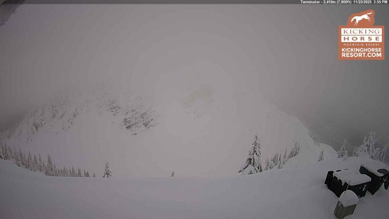 Webcam Kicking Horse: Terminator