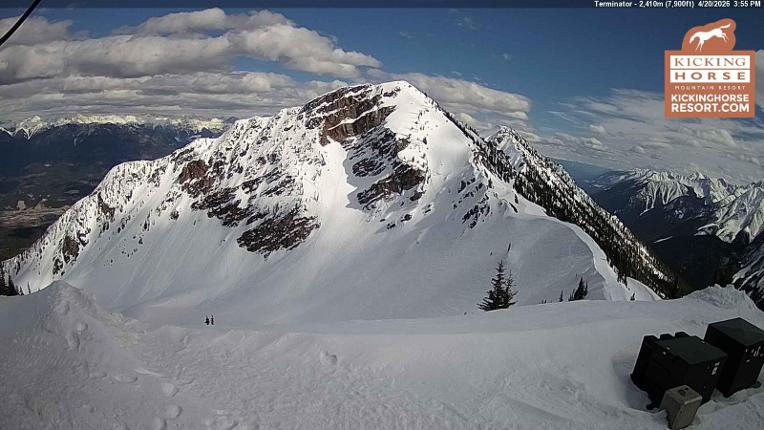 Webcam Kicking Horse: Terminator