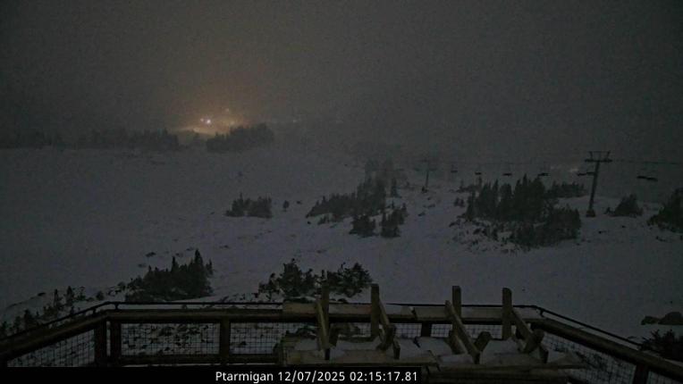 Webcam Loveland: Ptarmigan roost