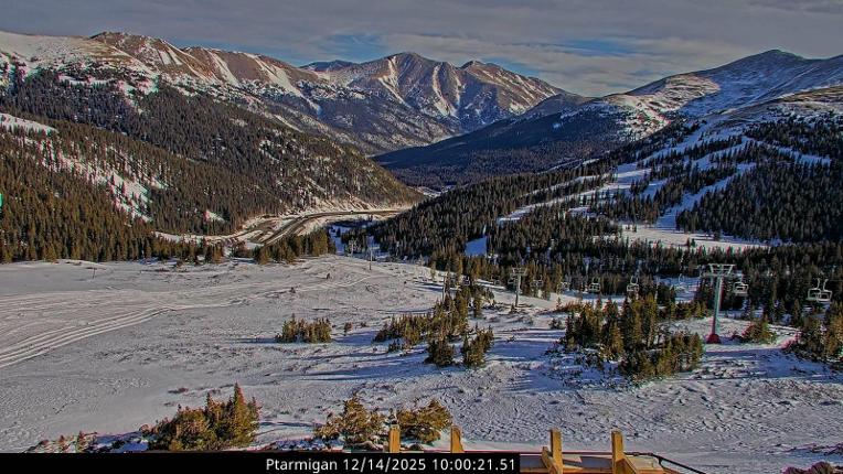 Webcam Loveland: Ptarmigan roost