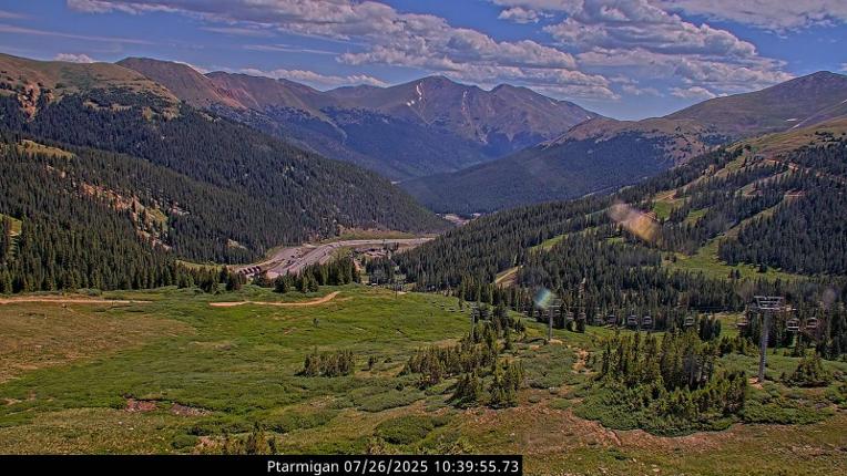 Webcam Loveland: Ptarmigan roost