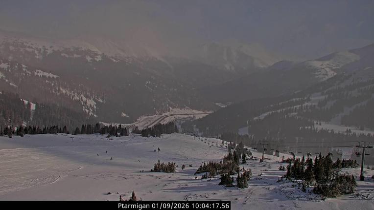 Webcam Loveland: Ptarmigan roost