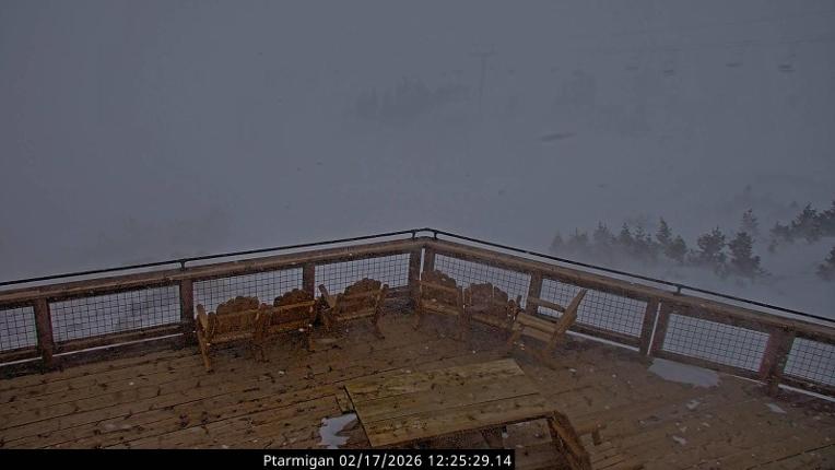 Webcam Loveland: Ptarmigan roost