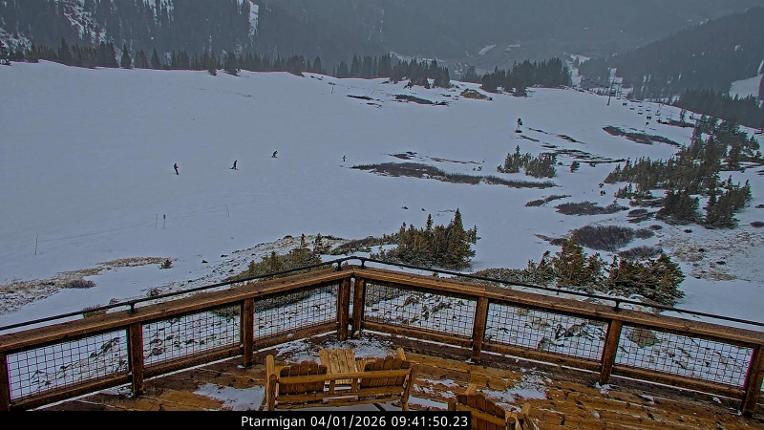 Webcam Loveland: Ptarmigan roost