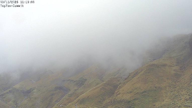 Webcam Manganui: Top Tow view