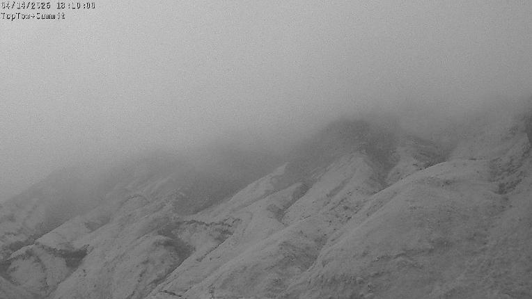 Webcam Manganui: Top Tow view