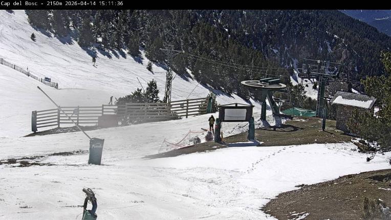 Webcam Masella: Cap del Bosc 2150m