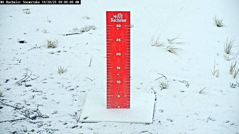 Webcam Mount Bachelor: Snow stake