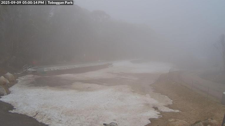 Webcam Mount Baw Baw: Toboggan park